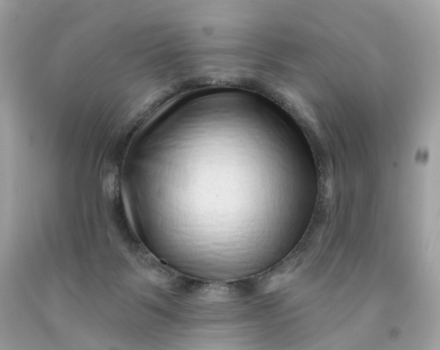 X0000091470123200709061826