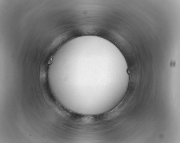 X0000091470124200709061826