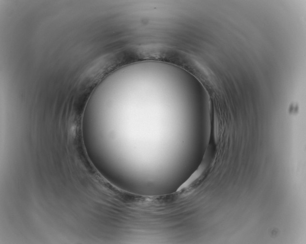 X0000091470125200709061826