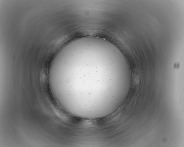 X0000091470126200709061826