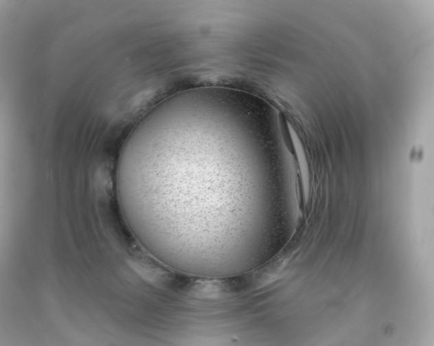 X0000091470127200709061826