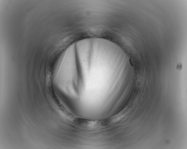 X0000091470130200709061826