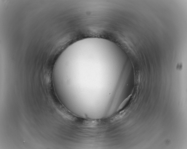 X0000091470131200709061826