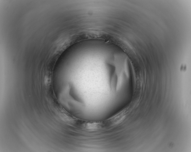 X0000091470134200709061826