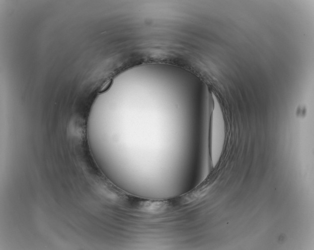 X0000091470135200709061826