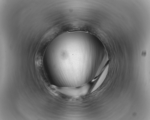 X0000091470137200709061826