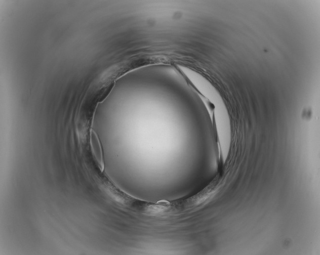 X0000091470139200709061826