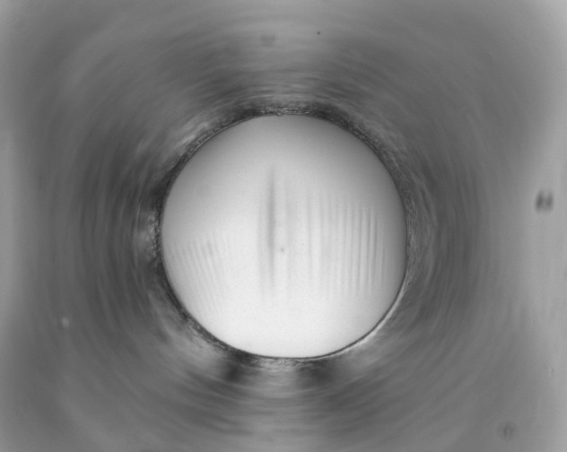 X0000091470144200709061826