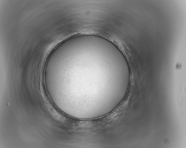 X0000091470145200709061825