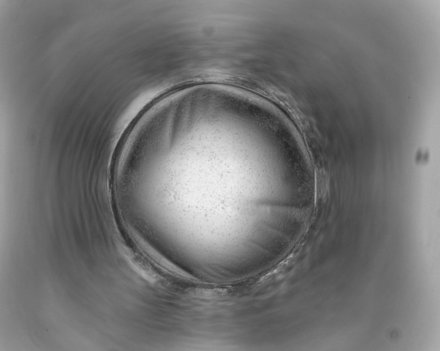 X0000091470147200709061825