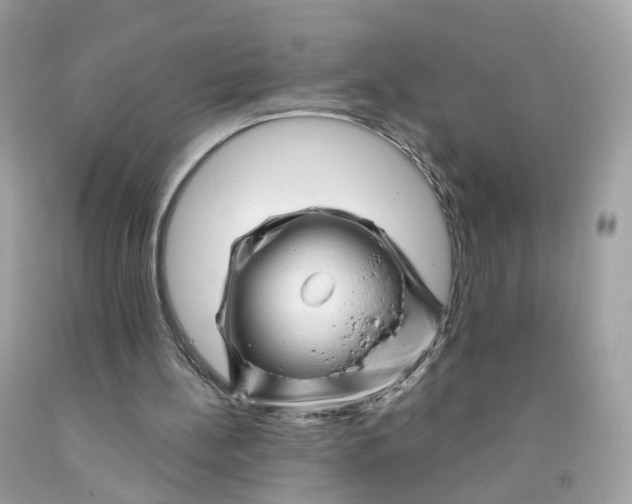 X0000091470148200709061825