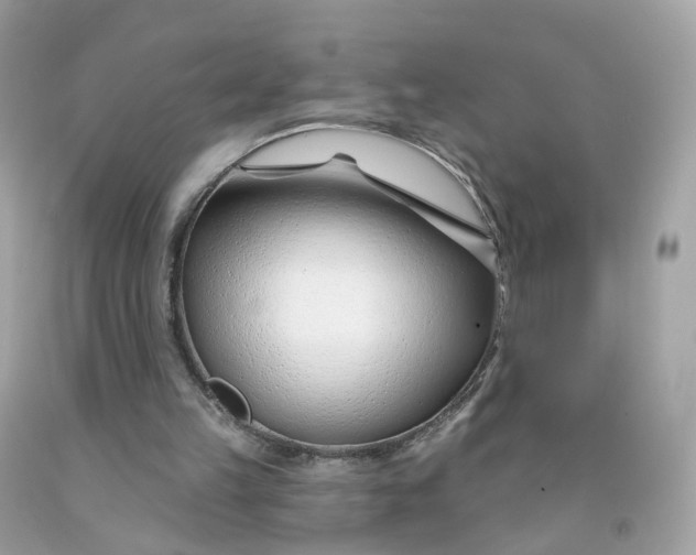 X0000091470149200709061825