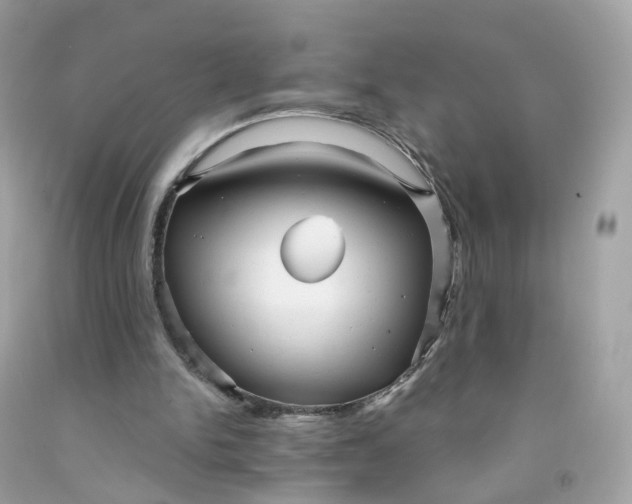 X0000091470150200709061825