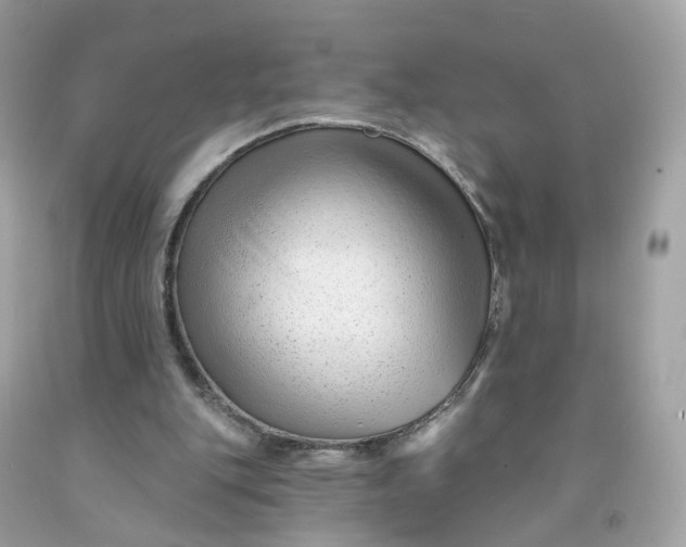 X0000091470151200709061825