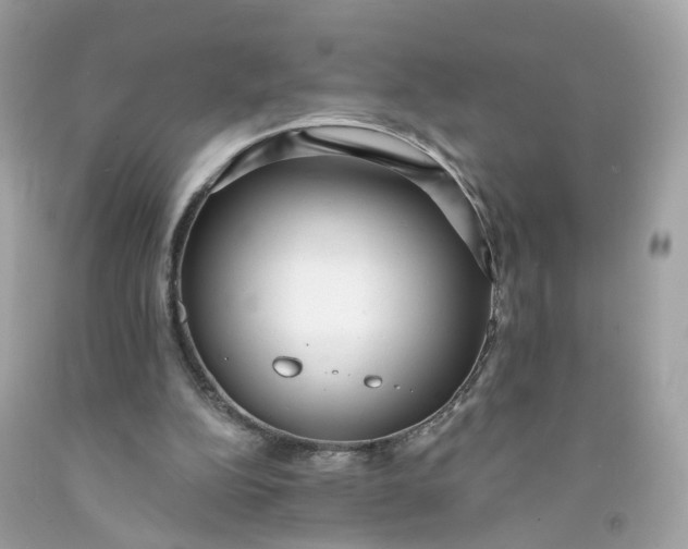 X0000091470152200709061825