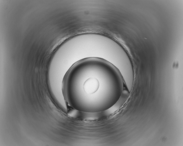 X0000091470154200709061825