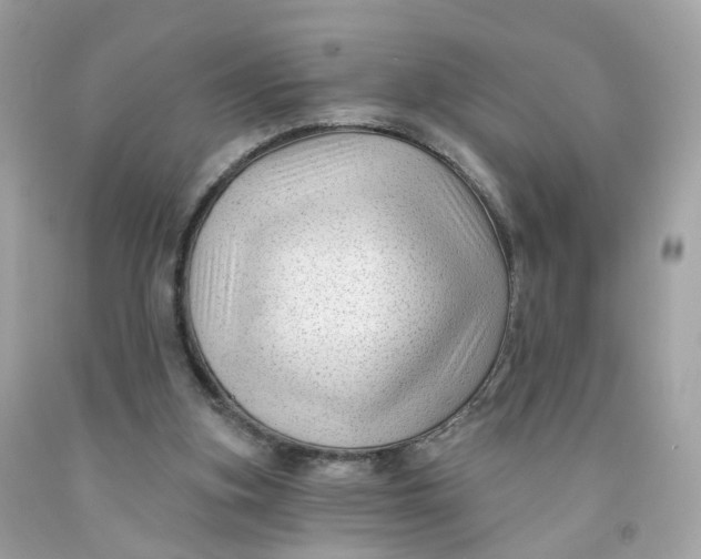 X0000091470155200709061825