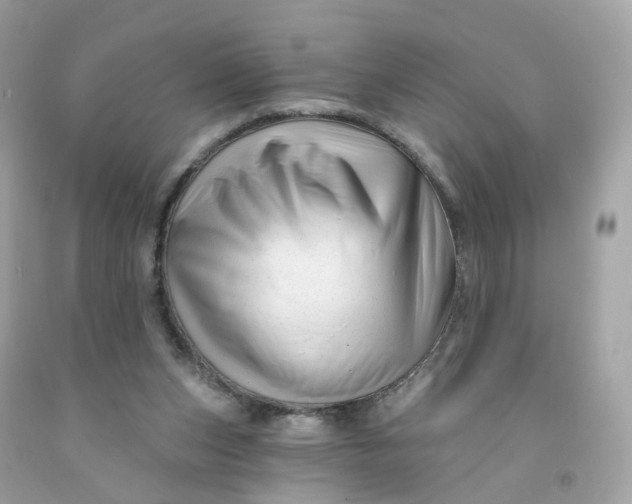 X0000091470159200709061825