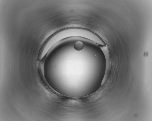 X0000091470160200709061825