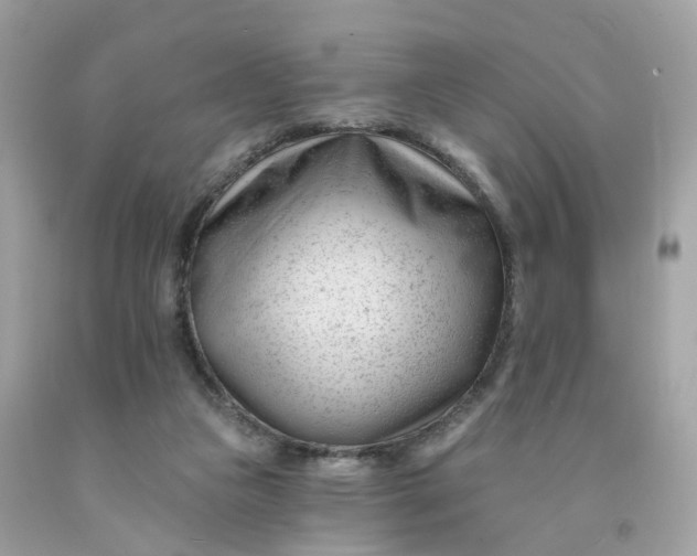 X0000091470161200709061825