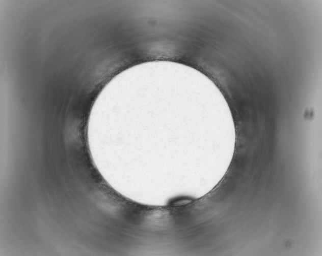 X0000091470162200709061825