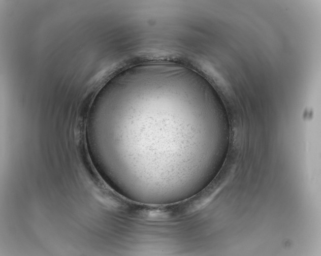 X0000091470165200709061825