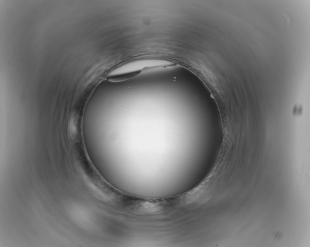 X0000091470166200709061825