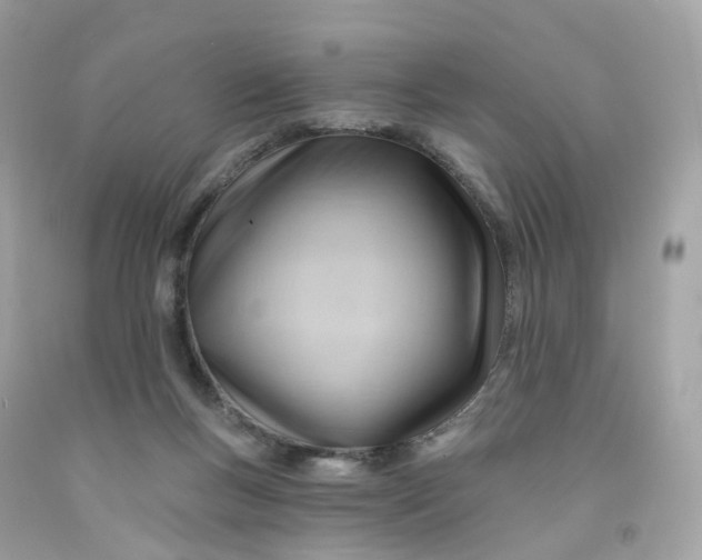 X0000091470167200709061825