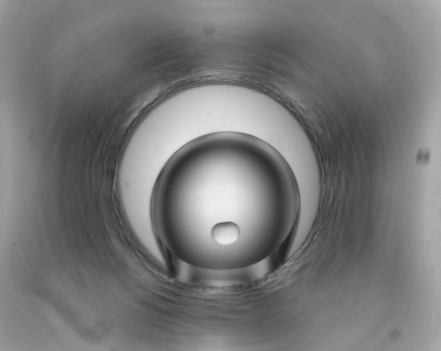 X0000091470168200709061825