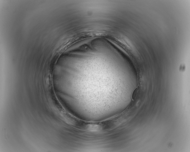 X0000091470169200709061825