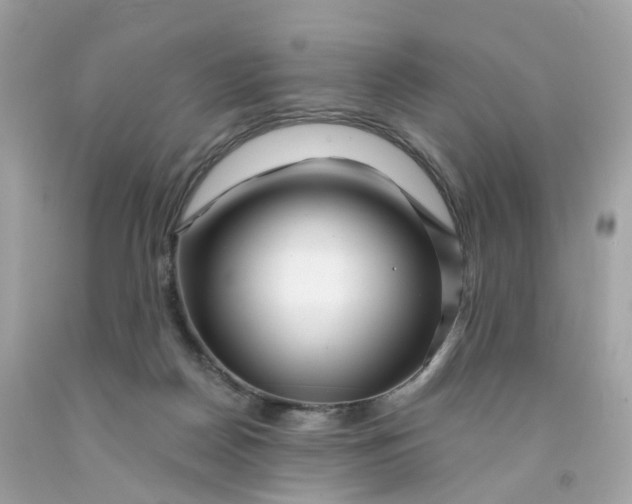 X0000091470170200709061825