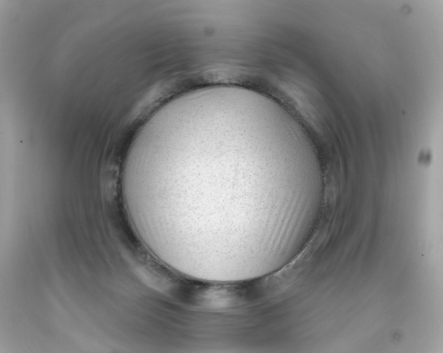 X0000091470171200709061825