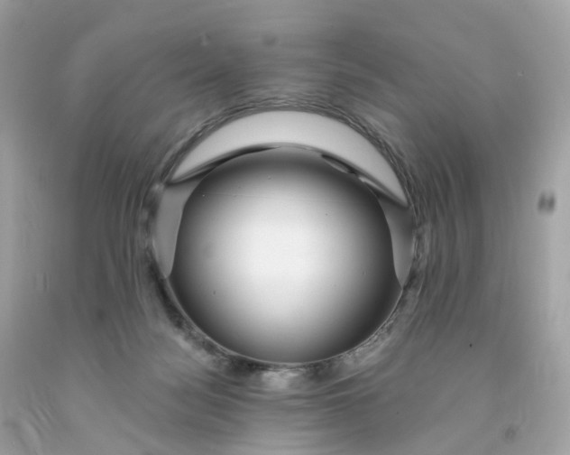 X0000091470172200709061825