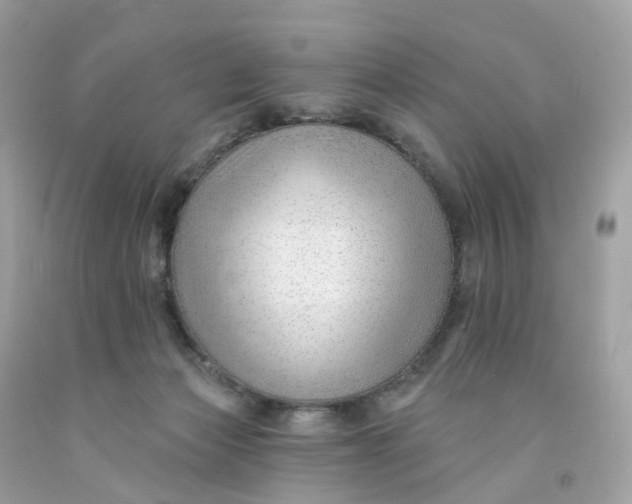 X0000091470173200709061825