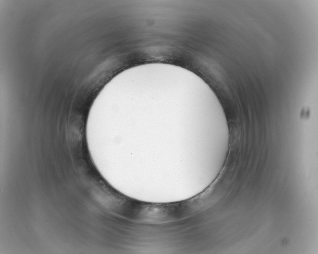 X0000091470174200709061825