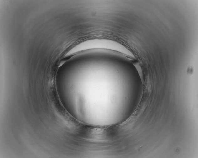 X0000091470176200709061825