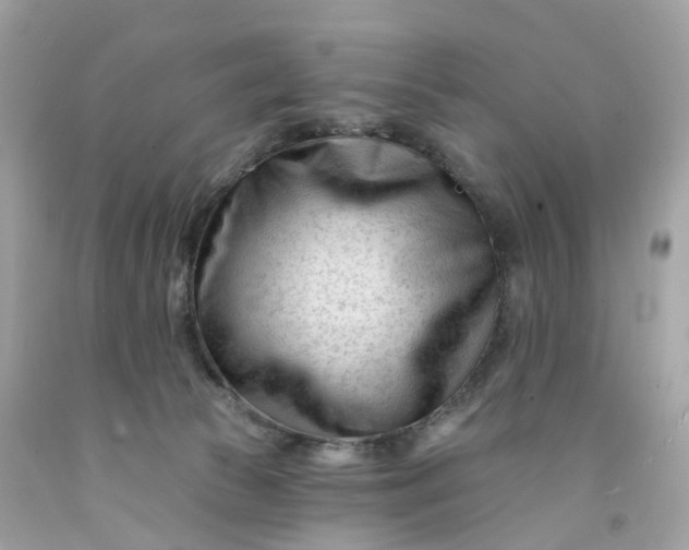 X0000091470177200709061825