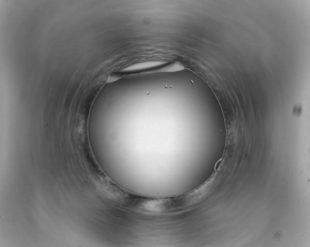 X0000091470178200709061825