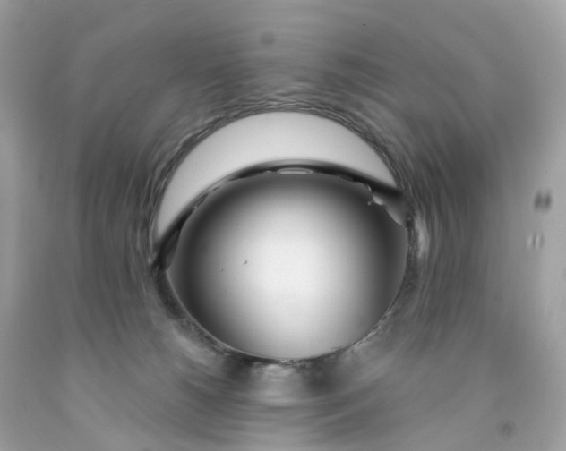 X0000091470180200709061826