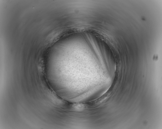 X0000091470181200709061826