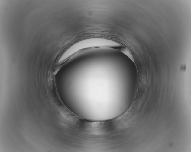 X0000091470184200709061826