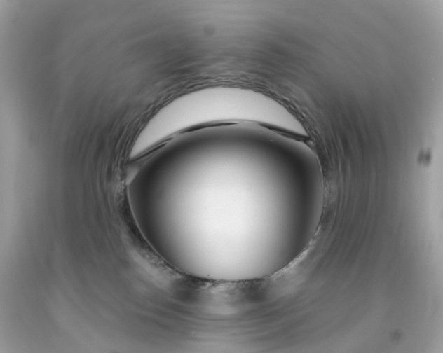 X0000091470186200709061826