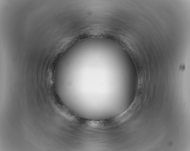 X0000091470187200709061826