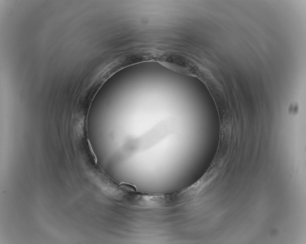 X0000091470188200709061826