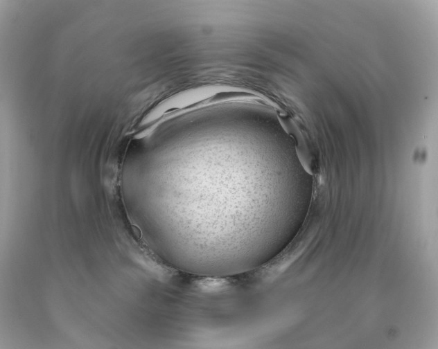 X0000091470189200709061826