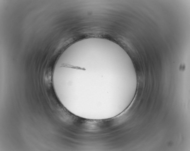 X0000091470190200709061826