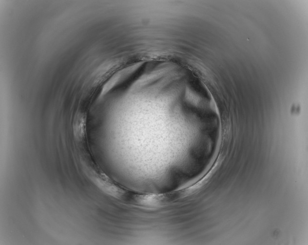 X0000091470191200709061826