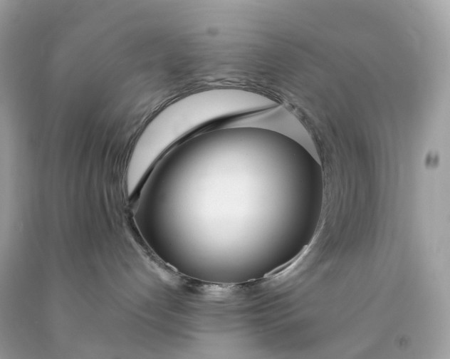 X0000091470192200709061826