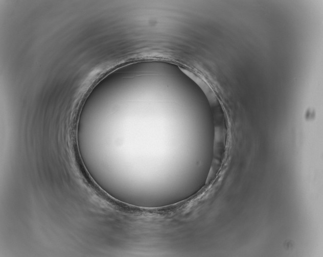 X0000091470193200709061825