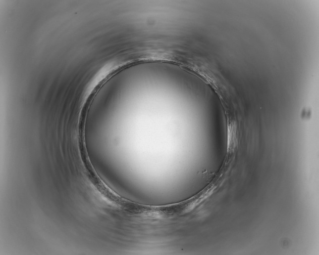 X0000091470195200709061825